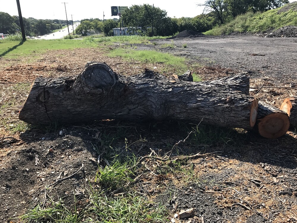 How to cut a tree trunk into slabs Dallas Makerspace Talk